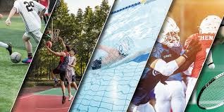 林多尔赛后谈团队执行